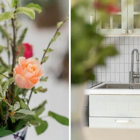 G410-lemvig-porsevej-10 *